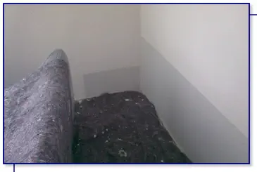 Entfernen Schimmelbefall